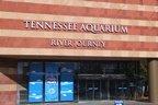 2013 Tenessee Aquarium